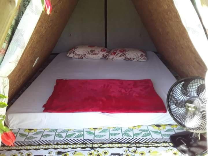 Farah Hostel Suites Camping Smartcamp E Passeio De Barco Боикуканга Экстерьер фото